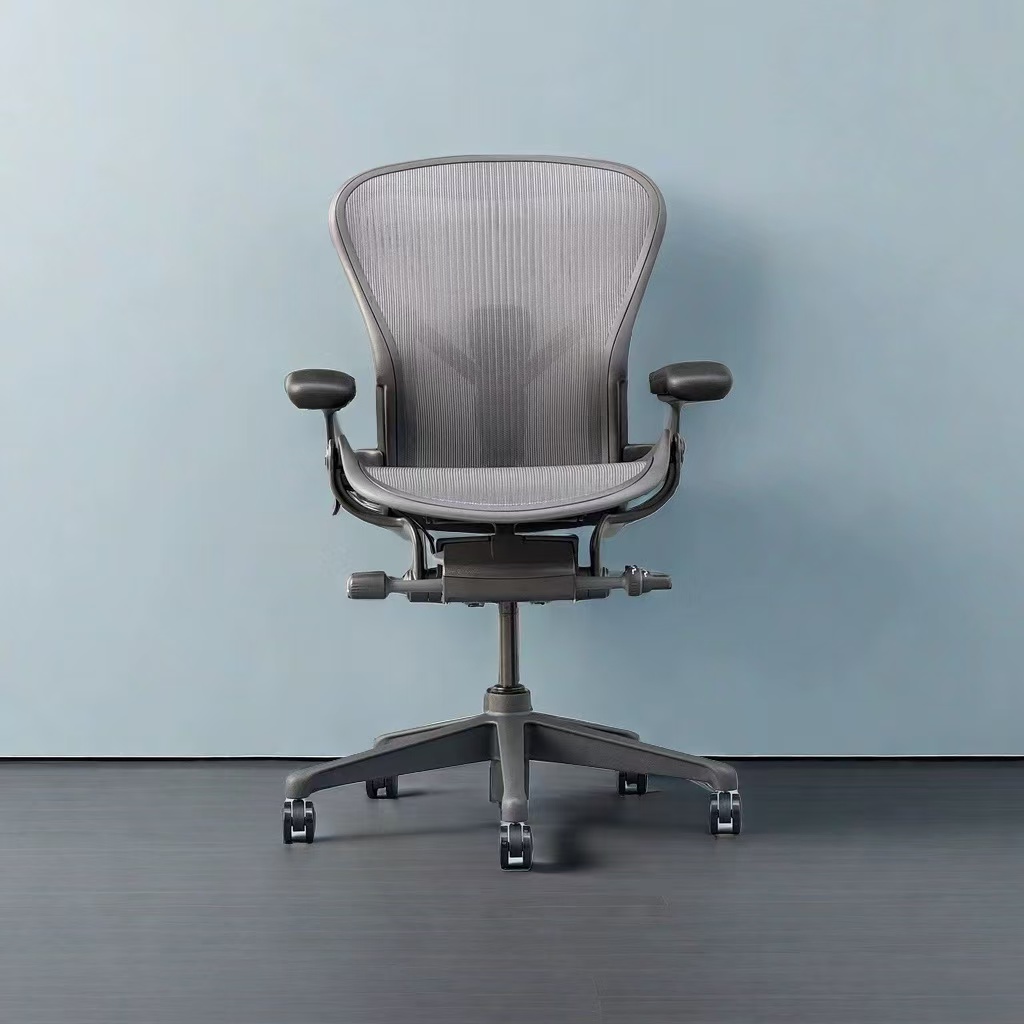 대표적인 인체공학적 의자, 좌식 사무용 의자, 가정용  - Home Office Representative 리뷰 및 가격